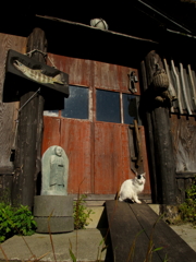 アトリエと猫