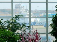 港で