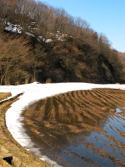 雪どけの田