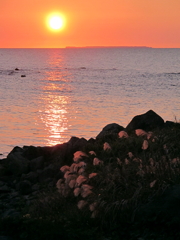 象潟の夕陽