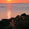 象潟の夕陽