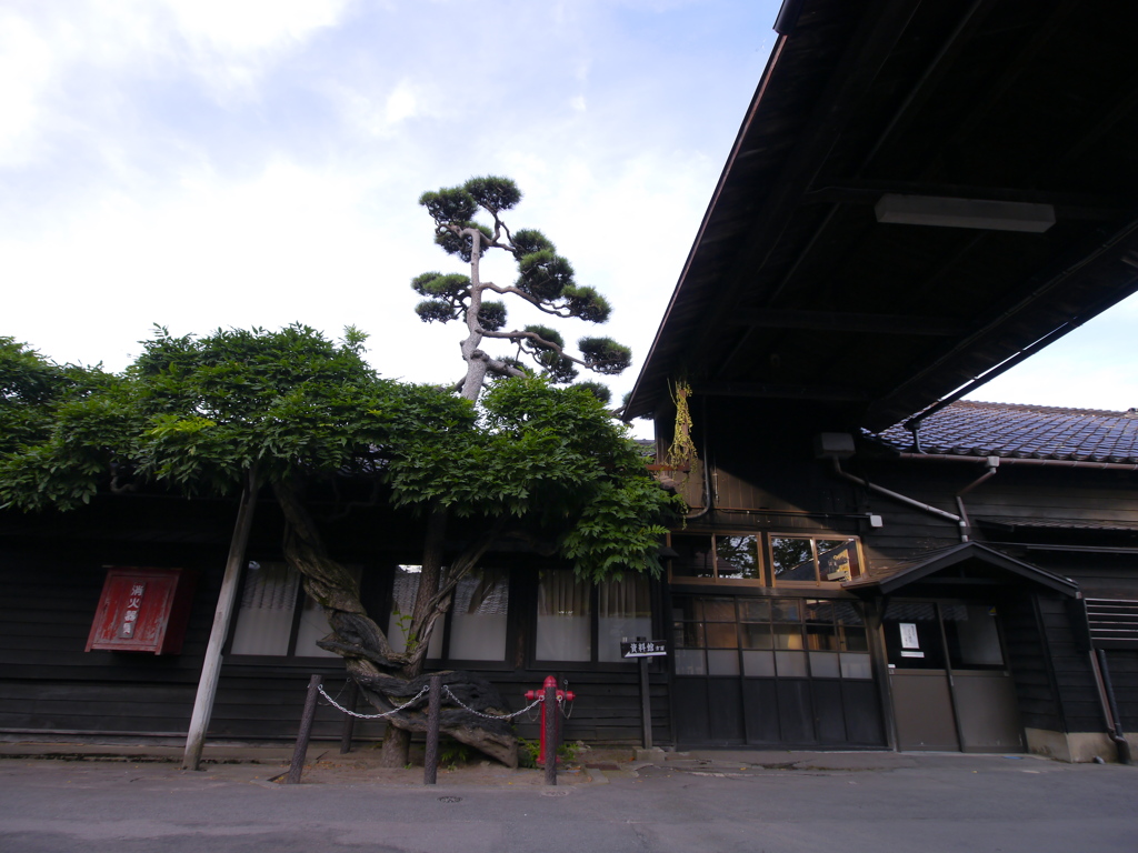 事務方の松