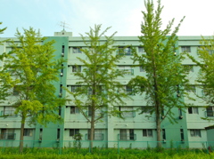 GREEN