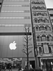 2012.12.31 TOKYO