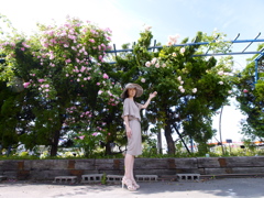バラ・フェア