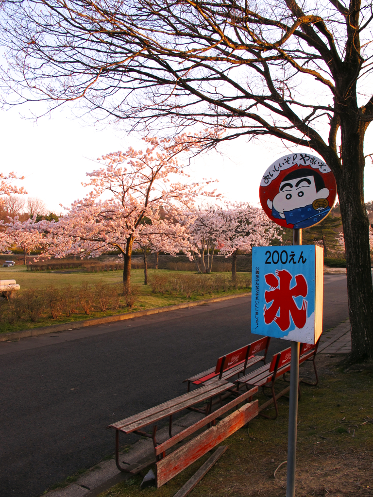 夏を待つ公園
