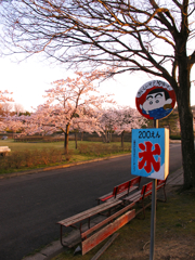 夏を待つ公園