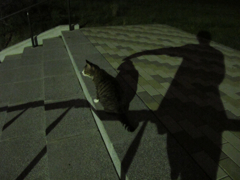 夜の彷徨　一