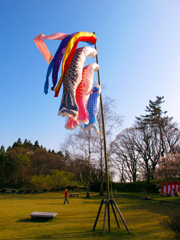晴天の公園で