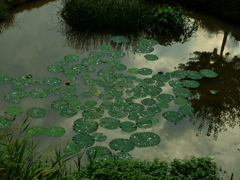 小雨のあと