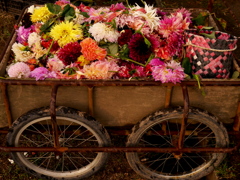 花車