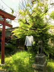 物干し日和