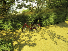 放課後の公園