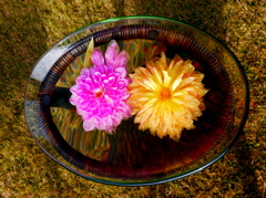 水花
