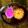 水花