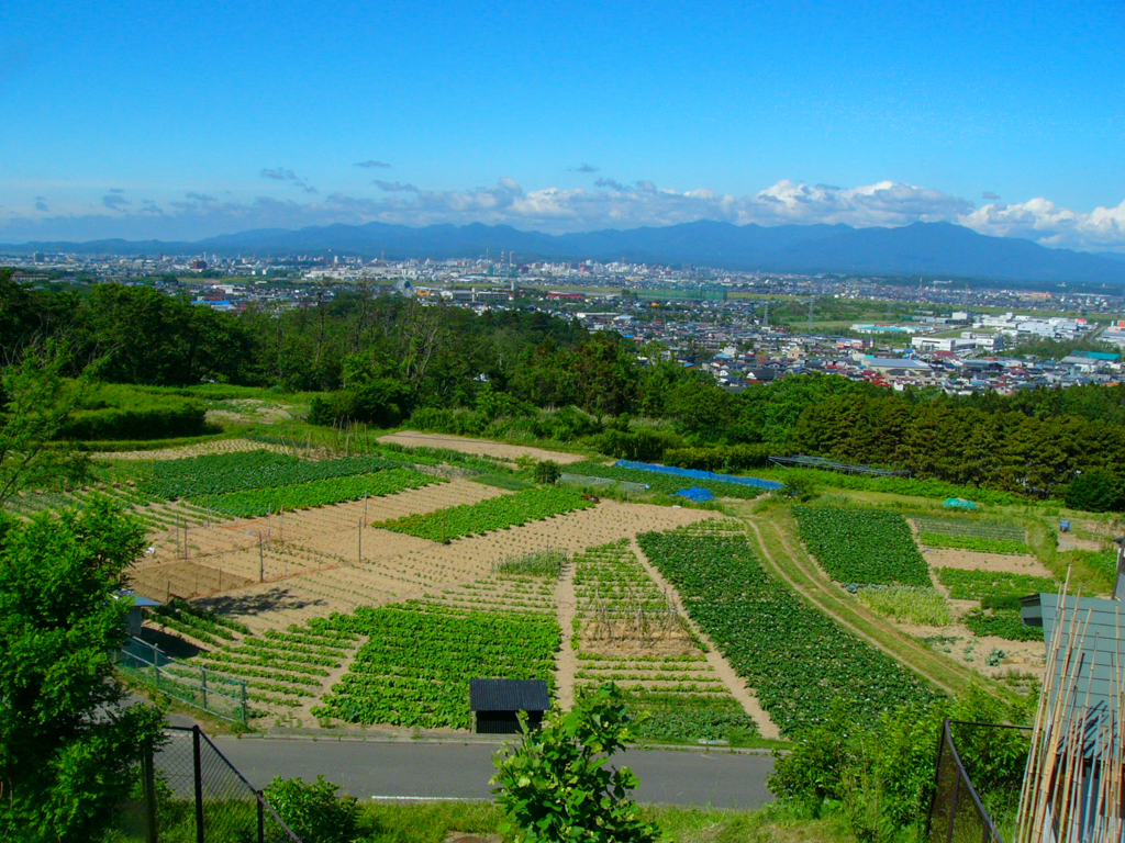 田園都市