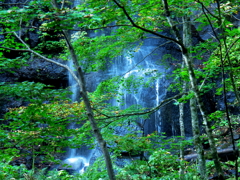 白糸の滝の下