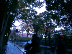 冷たい雨の日