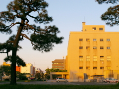 秋田地方裁判所