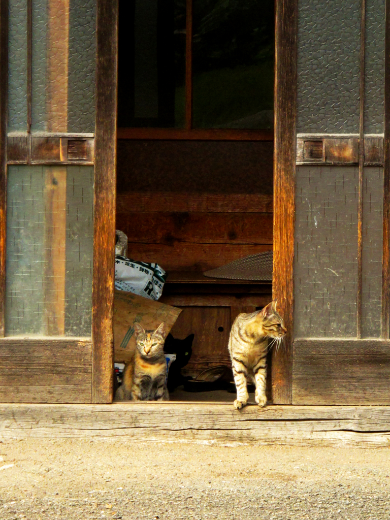 玄関で