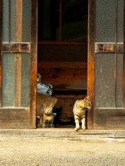 玄関で