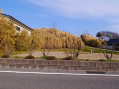海が近い町で