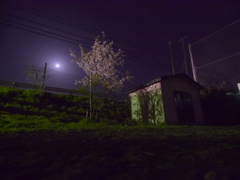 運動場の夜