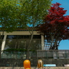 リス