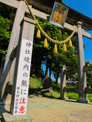 きっと逢える・・・。