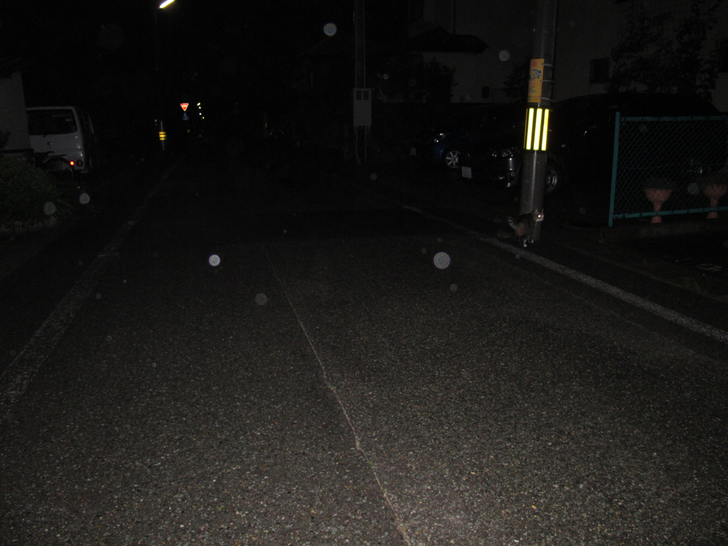 路上の友たち