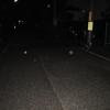 路上の友たち