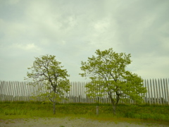 蜂起のとき