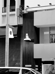 2013.1.1 TOKYO