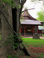 祠