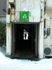 「森」なトンネル
