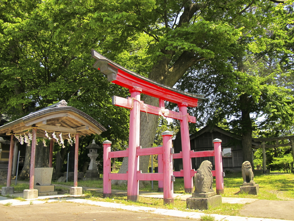 ピンクの鳥居