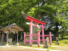 ピンクの鳥居