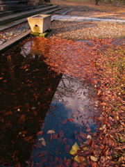 氷雨のあと