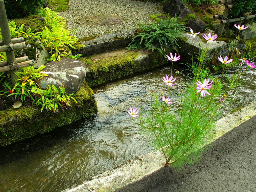 堰のある風景　1