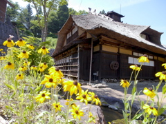 夏の多層民家
