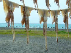 狙われる食材