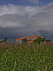 Orange Roof