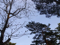 五月一日夕月
