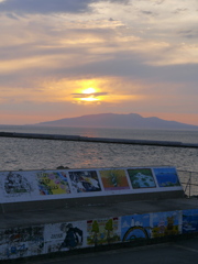西海岸