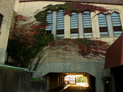 秋の秘密基地