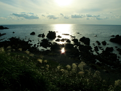 入道崎秋景