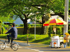 ババヘラ