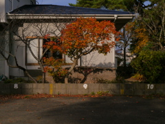 １１