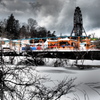 Winter Zoo