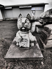 招かれたくない猫